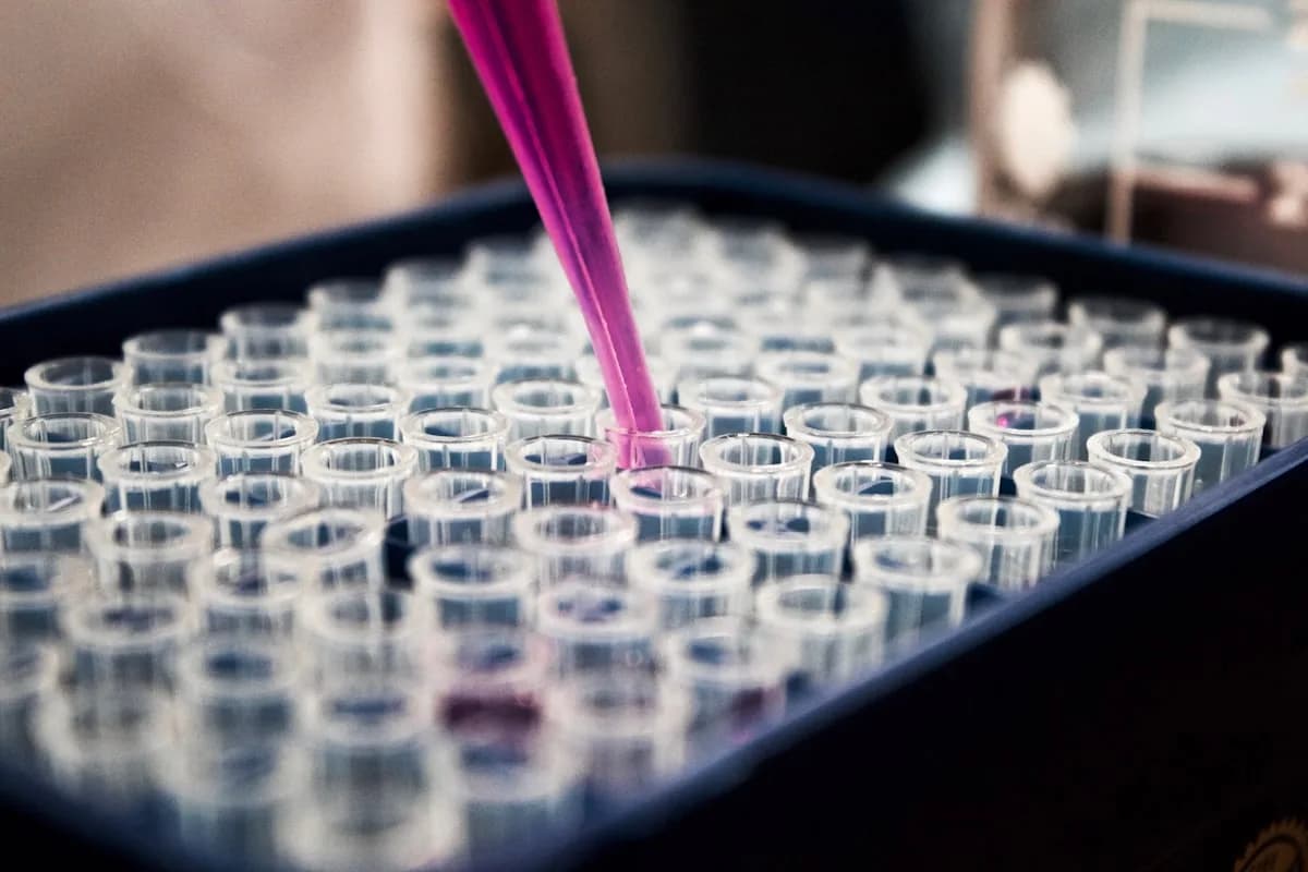 Laboratory & Scientific Services